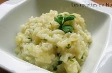 Risotto au fenouil