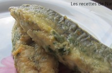 Filets de maquereaux Chermoula