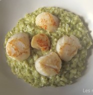 Risotto au pesto et St Jacques poêlées