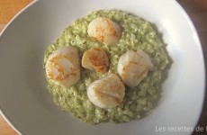 Risotto au pesto et St Jacques poêlées