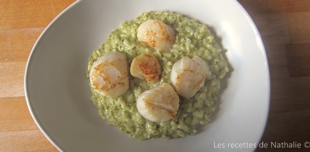 Risotto au pesto et St Jacques poêlées